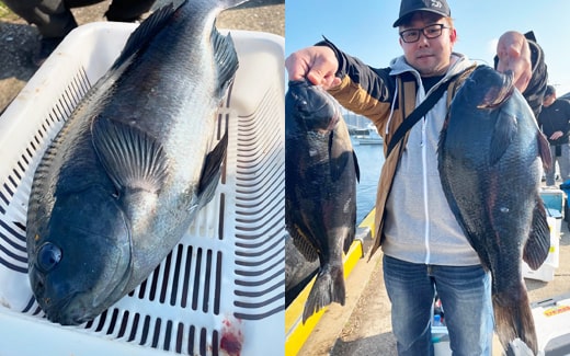 五島列島｜上五島｜クロ釣り｜釣果情報｜ミナガワ釣具店