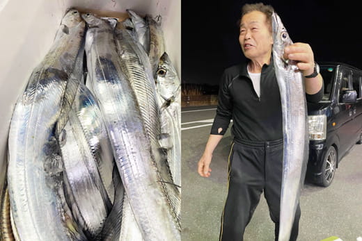 タチウオ｜大分｜釣果情報｜ミナガワ釣具店