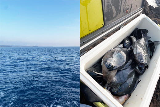 クロ釣りシーズン突入｜六島｜釣果情報｜ミナガワ釣具店