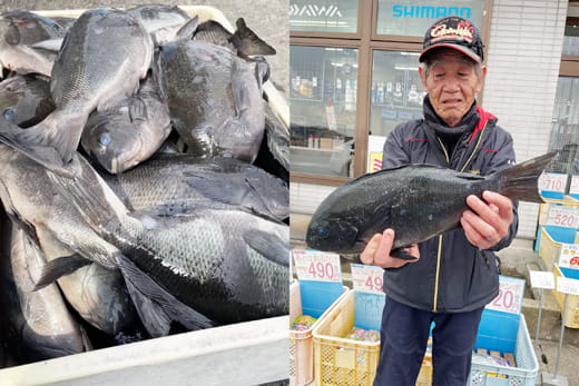 寒グロ｜上五島｜釣果情報｜ミナガワ釣具店