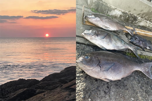 男女群島｜クロ｜尾長｜アラ｜釣果情報｜ミナガワ釣具店