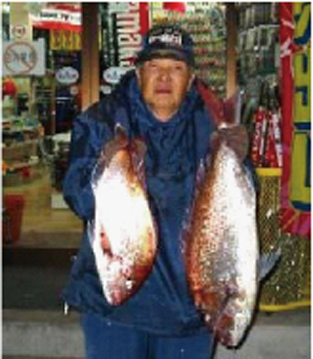 芦屋沖|釣果情報|マダイ ミナガワ釣具店|釣果情報|マダイ