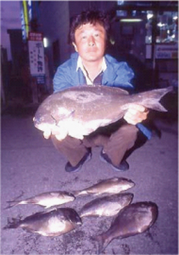 津和崎|上五島方面|釣果情報|クロ ミナガワ釣具店|釣果情報|クロ