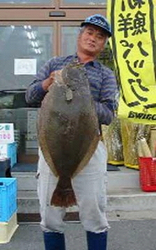 芦屋沖|釣果情報|ヒラメ ミナガワ釣具店|釣果情報|ヒラメ