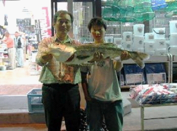 遠賀川河口|釣果情報|スズキ ミナガワ釣具店|釣果情報|スズキ