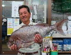 マダイ マダイ