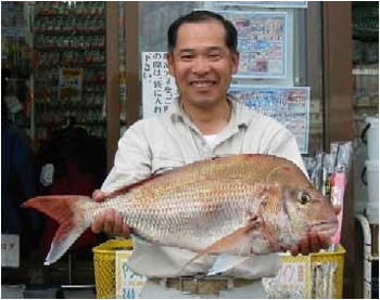 ミナガワ釣具店｜釣果情報｜マダイ