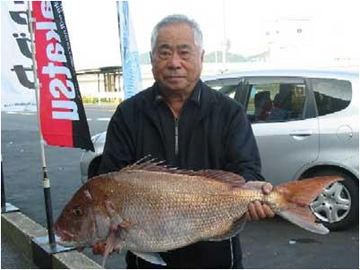 ミナガワ釣具店｜釣果情報｜マダイ