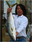 ヒラマサ|北九州|芦屋沖 ヒラマサ|北九州|芦屋沖