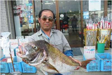 ミナガワ釣具店｜釣果情報｜マダイ