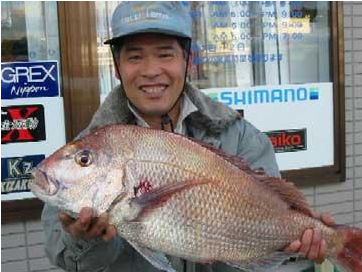 芦屋沖|釣果情報|マダイ ミナガワ釣具店|釣果情報|マダイ