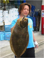 ヒラメ|波津漁港|ミナガワ釣具店 ヒラメ|波津漁港|ミナガワ釣具店