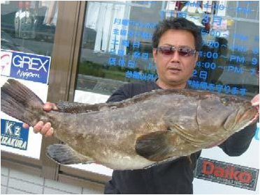 遠賀郡|釣果情報|アラ ミナガワ釣具店|釣果情報|アラ