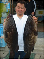 アラ アラ