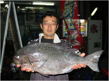 ミナガワ釣具店｜釣果情報｜オナガグロ