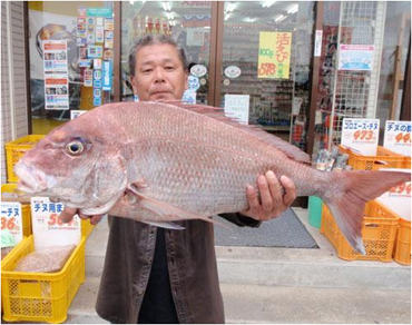 ミナガワ釣具店｜釣果情報｜マダイ