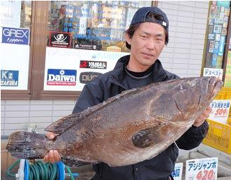 ミナガワ釣具｜店釣果情報｜アラ