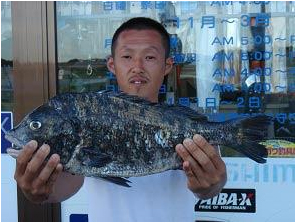 北九州|釣果情報|チヌ ミナガワ釣具店|釣果情報|チヌ