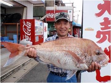 北九州|釣果情報|マダイ ミナガワ釣具店|釣果情報|マダイ
