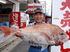 マダイ|芦屋沖|北九州 マダイ|芦屋沖|北九州