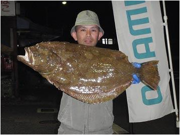北九州|釣果情報|ヒラメ ミナガワ釣具店|釣果情報|ヒラメ