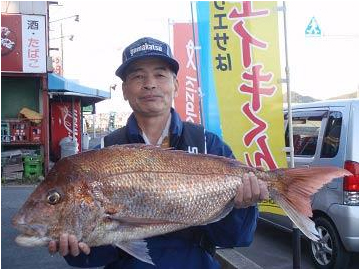 北九州|釣果情報|マダイ ミナガワ釣具店|釣果情報|マダイ
