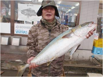 北九州|釣果情報|ヒラマサ ミナガワ釣具店|釣果情報|ヒラマサ