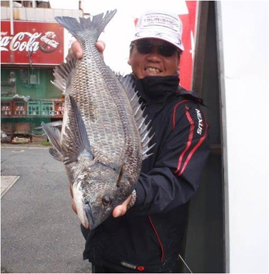 北九州|釣果情報|チヌ ミナガワ釣具店|釣果情報|チヌ