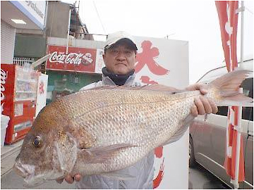 ミナガワ釣具店｜釣果情報｜真鯛