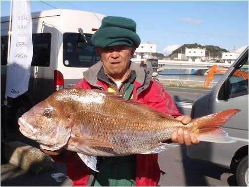 ミナガワ釣具店｜釣果情報｜真鯛