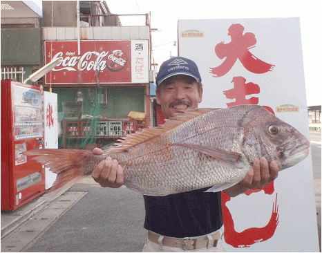 芦北沖|釣果情報|マダイ ミナガワ釣具店|釣果情報|マダイ
