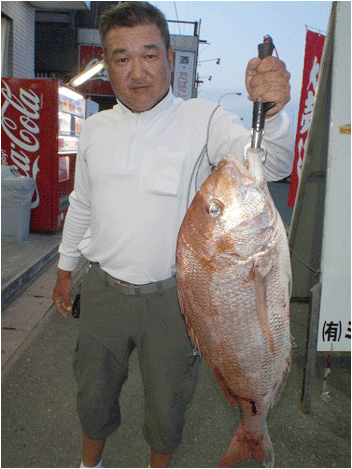 ミナガワ釣具店｜釣果情報｜マダイ