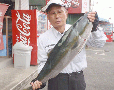 ミナガワ釣具店｜釣果情報｜ブリ