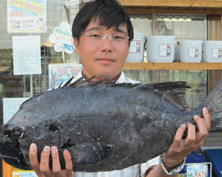 ミナガワ釣具店｜釣果情報｜ギンワサ