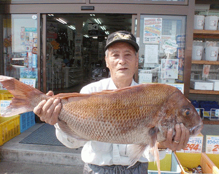 ミナガワ釣具店｜釣果情報｜マダイ