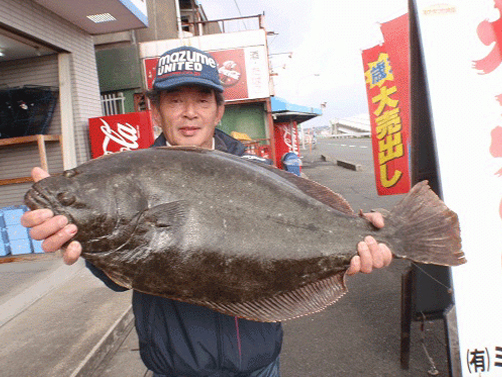 ミナガワ釣具店｜釣果情報｜ヒラメ