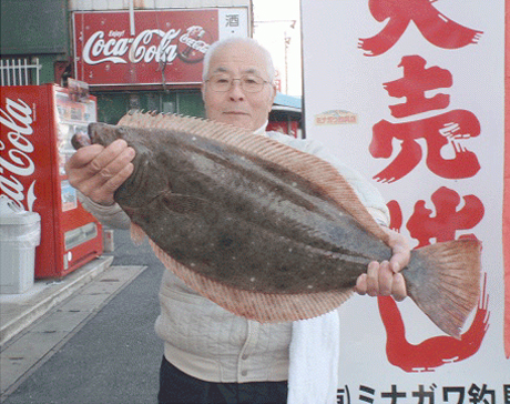 ミナガワ釣具店｜釣果情報｜ヒラメ