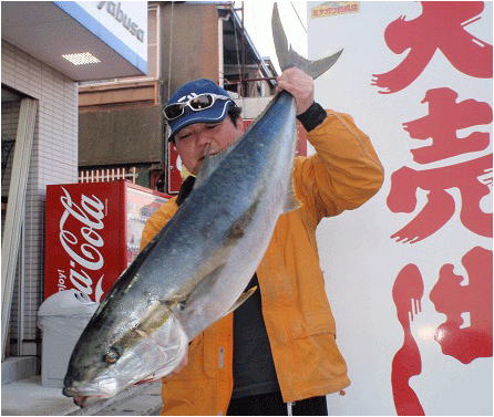 ミナガワ釣具店｜釣果情報｜ヒラマサ