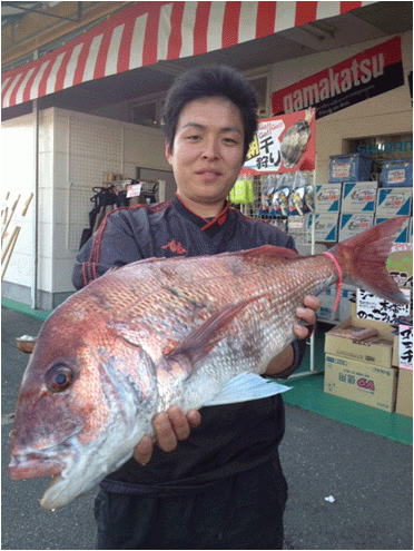 ミナガワ釣具店｜釣果情報｜マダイ