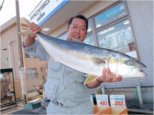 ミナガワ釣具店｜釣果情報｜ヒラマサ