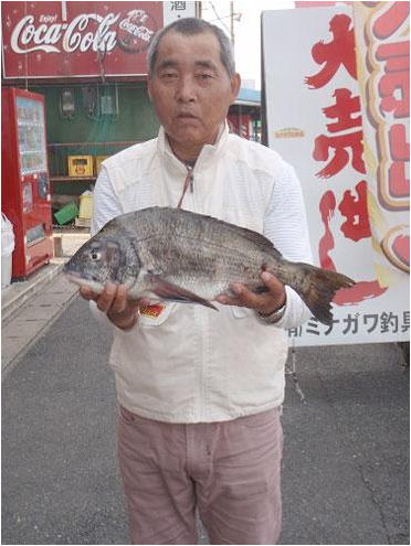 ミナガワ釣具店｜釣果情報｜チヌ