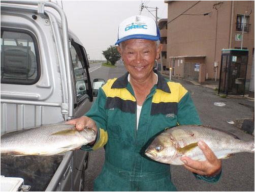 ミナガワ釣具店｜釣果情報｜イサキ