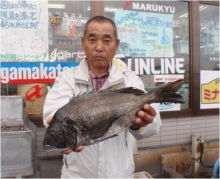 ミナガワ釣具店｜釣果情報｜チヌ