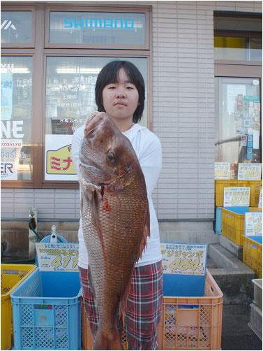 ミナガワ釣具店｜釣果情報｜マダイ