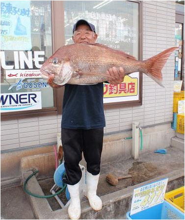 ミナガワ釣具店｜釣果情報｜マダイ