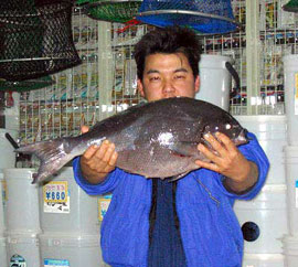 2004クロ釣りダービー 結果発表
