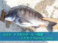 イベント｜チヌ釣りダービー｜ミナガワ釣具店｜福岡