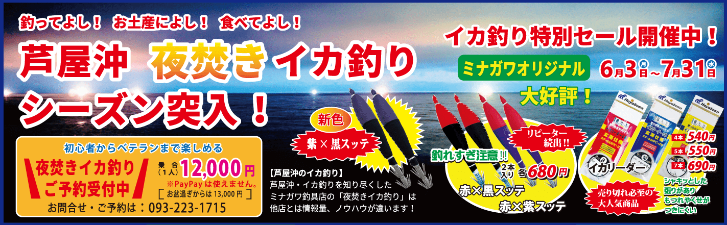 イカ釣り｜夜焚き｜特別セール｜ミナガワ釣具店｜福岡